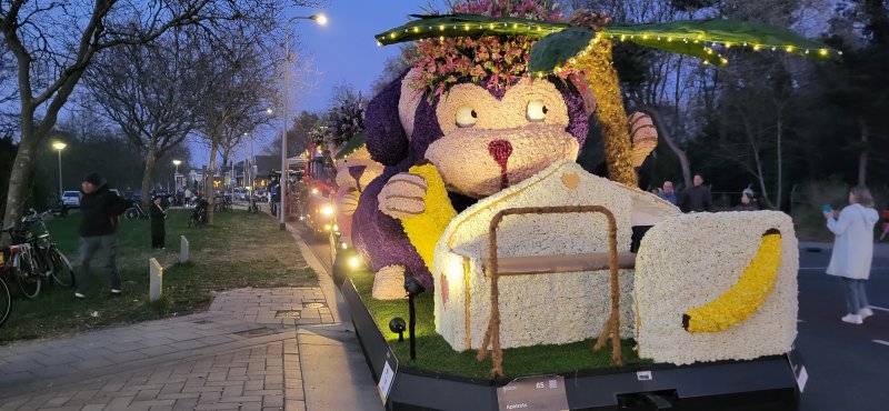 Nakts ziedu parāde Holandē GARANTĒTS