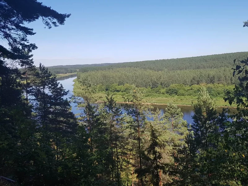 Daugavas loki (dabas taku un laivošanas maršruts) GARANTĒTS