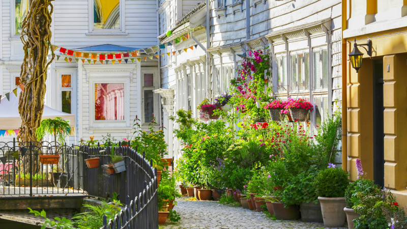 Norvēģijas kontrastu loks