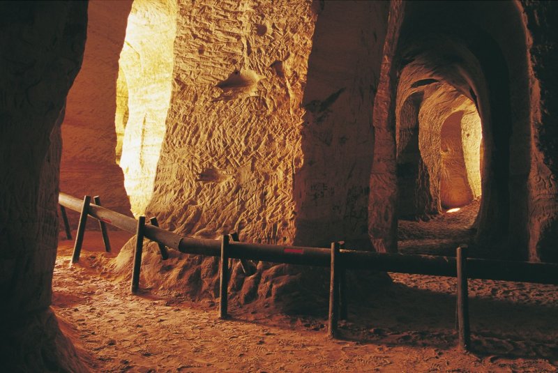 Aizved mani uz Munameģi! (dabas taku maršruts) GARANTĒTS