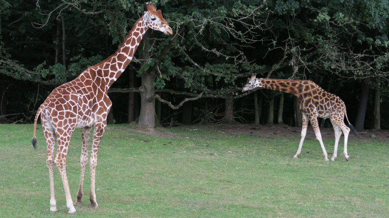 Čehijas dabas tūre