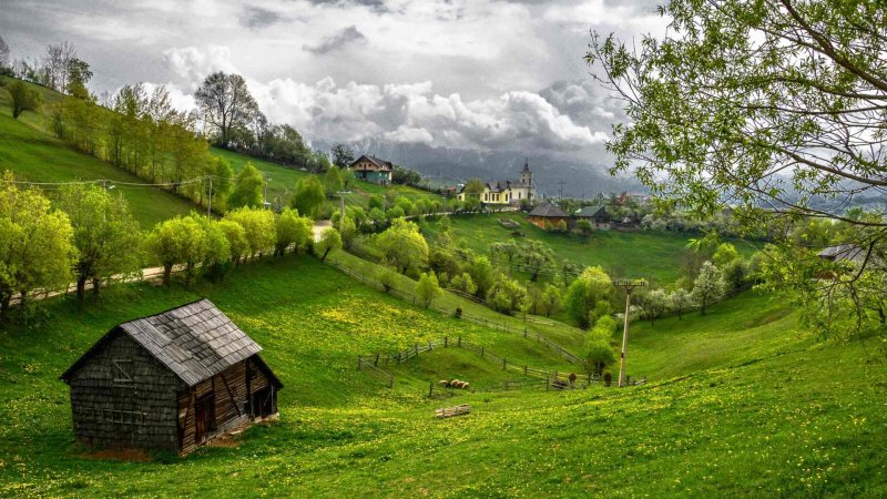 Maija brīvdienas Drakulas dzimtenē Transilvānijā
GARANTĒTS