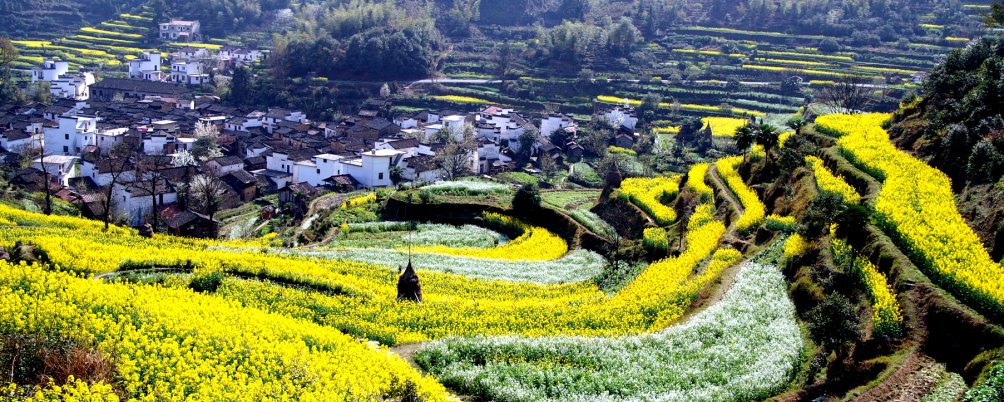 Ķīna - CeļojumuBode.lv