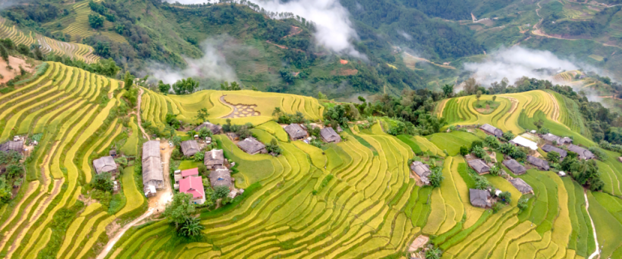 Ceļojumu piedāvājumi