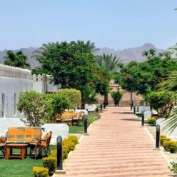 PICKALBATROS ALBATROS SHARM (EX. BEACH ALBATROS SHARM) 4★