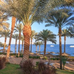 GRAND ROTANA RESORT & SPA 5★