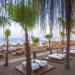 RUBI PLATINUM SIGN 5★