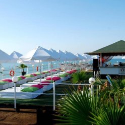 DELPHIN DIVA PREMIERE 5★ 