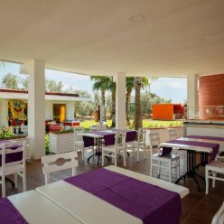 FUN & SUN SMART HANE SUN 5★