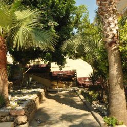 GOLD TWINS FAMILY BEACH 3 ★