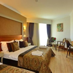 SIDE CROWN CHARM PALACE 5★