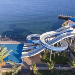 GOLD ISLAND FAMILY 5★