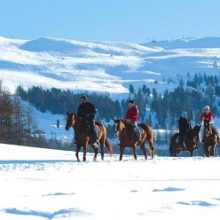 BAIT DA JEMBRO 3★-_