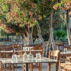 ALMYRIDA VILLAGE & WATERPARK (EX. ALMYRIDA BAY) 3★