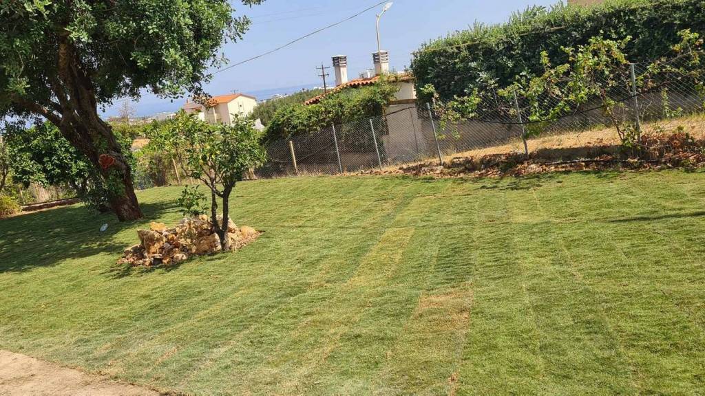 CERATONIA APARTMENTS 3★-_