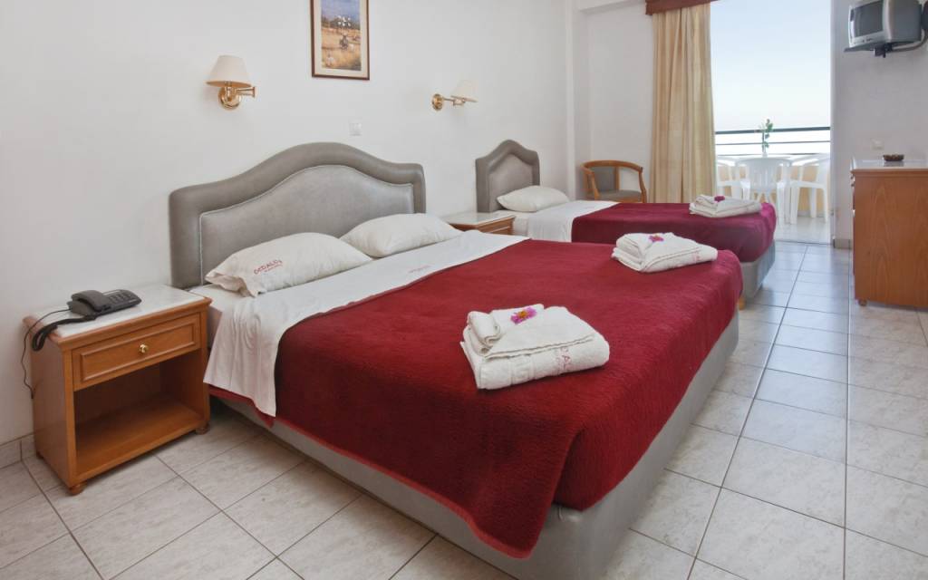 DEDALOS BEACH HOTEL 3★