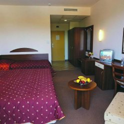 PARK HOTEL CONTINENTAL 3★