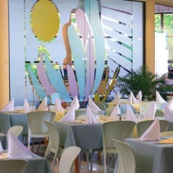 COMPLEX MAGNOLIA 3+★