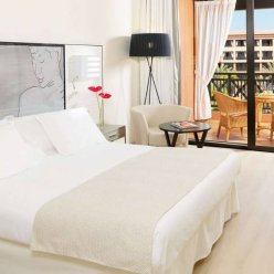 H10 COSTA ADEJE PALACE 4★