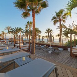 H10 CONQUISTADOR 4★