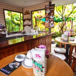 PHUKET ORCHID RESORT 4★