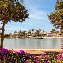 ﻿PHARAOH AZUR RESORT (EX. SONESTA PHARAOH BEACH RESORT) 5★