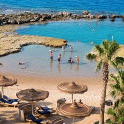 ALBATROS CITADEL RESORT SAHL HASHEESH 5★