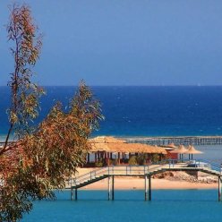 DAWAR EL OMDA HOTEL (TIKAI PIEAUGUŠAJIEM 18+) 4★