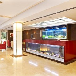 MLL MEDITERRANEAN BAY HOTEL (tikai pieaugušajiem, 18+) 4★