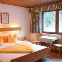 SCHWEMBERGER PENSION (MAYRHOFEN) SPECIAL CAT. 2★