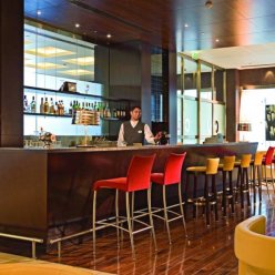 IBIS WORLD TRADE CENTER DUBAI 3★-_