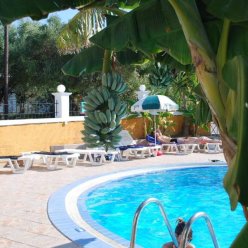 DIVINA STUDIOS 3★-_