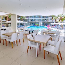 WHITE OLIVE PREMIUM CAMEO 4★-_