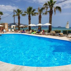 WHITE OLIVE PREMIUM CAMEO 4★-_