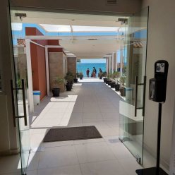 WHITE OLIVE PREMIUM CAMEO 4★-_