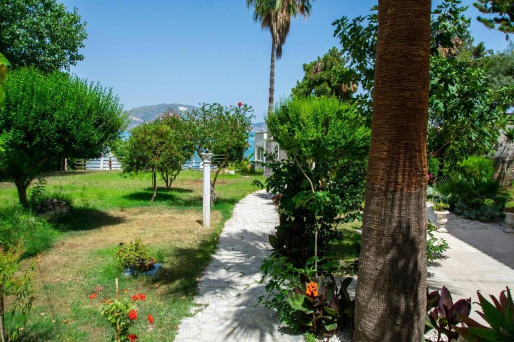 DIVINA STUDIOS 3★-_