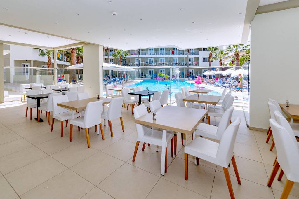 WHITE OLIVE PREMIUM CAMEO 4★-_