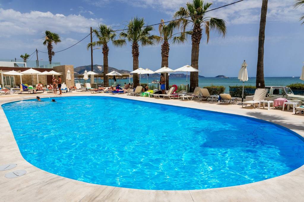 WHITE OLIVE PREMIUM CAMEO 4★-_