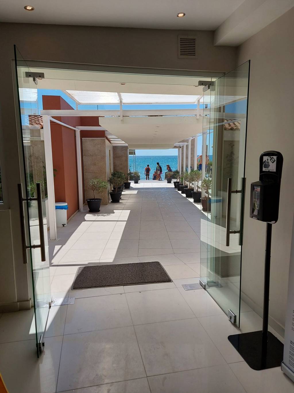 WHITE OLIVE PREMIUM CAMEO 4★-_