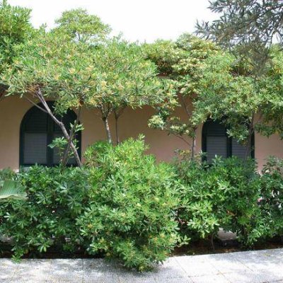 VILLA ARCHEGETA 3★