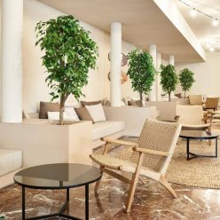 TENT TORREMOLINOS (EX. NATALI AFFILIATED BY FERGUS) 3★