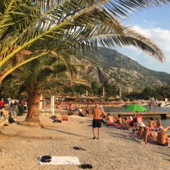 APARTMENTS DIMIC ELITE 4★