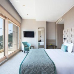 AMI (EX. MELIA PETROVAC) 5★