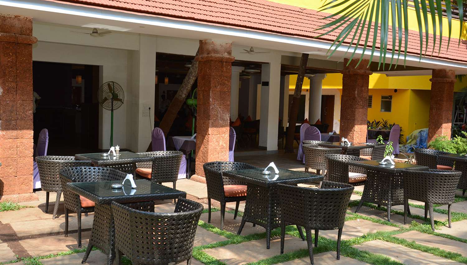 ADAMO THE BELLUS 3★