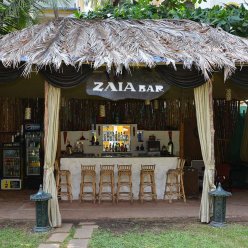 ADAMO THE BELLUS 3★