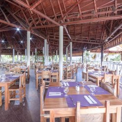 ROC ARENAS DORADAS 4★