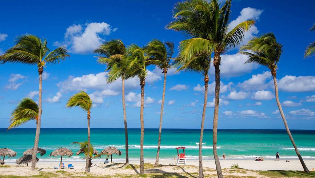 STARFISH LAS PALMAS (tikai pieaugušajiem, 16+) 3★