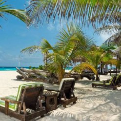 FLAMINGO CANCUN RESORT 4★