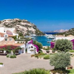 THE RESERVE POLTU QUATU 5 ★-_