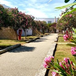 CLUB ESSE SUNBEACH (LIDO DI SQUILLACE) 4★